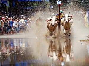 An Giang thu hút hơn 5 triệu lượt khách du lịch