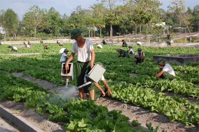 Vượt khó thời bão giá