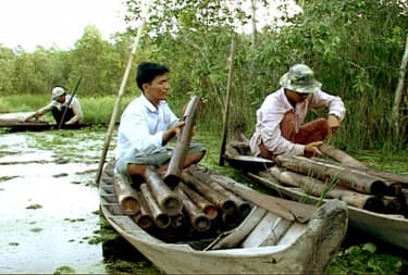 Bắt lươn đồng quê tôi