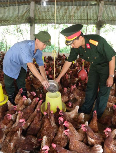 Thức cùng gà