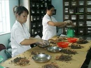 ASEAN tăng hợp tác trong lĩnh vực y học cổ truyền