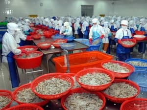 Xuất khẩu nông, lâm, thủy sản đạt mức cao nhất từ trước đến nay