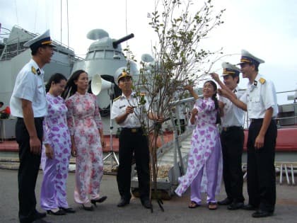 Những cành mai vàng nơi đảo xa