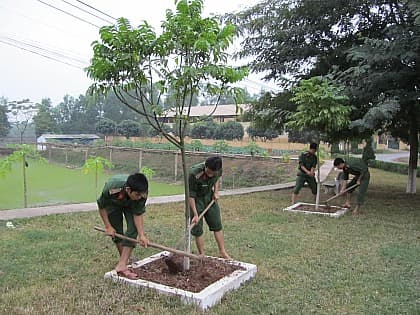 Tết trồng cây thiết thực, tiết kiệm