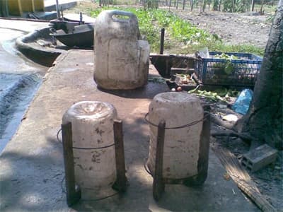 Bẫy diệt... ruồi, nhặng