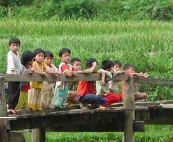 Phê duyệt Chương trình quốc gia bảo vệ trẻ em giai đoạn 2011-2015