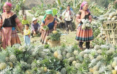 Chia sẻ kinh nghiệm trong việc nâng cao vị thế kinh tế của phụ nữ