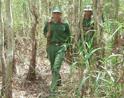Mùa canh lửa, giữ rừng