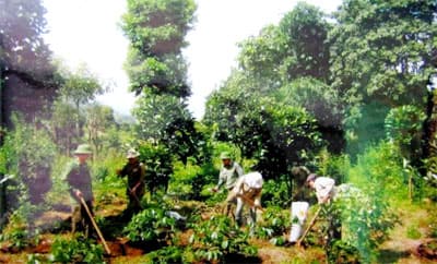Triển khai các dự án kinh tế-quốc phòng giúp đồng bào xóa đói giảm nghèo