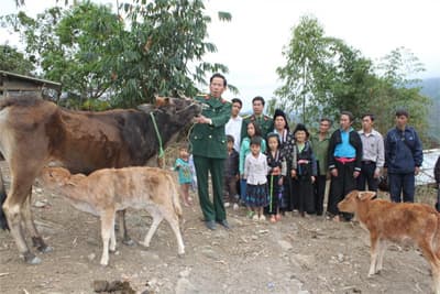 Trái tim sẻ chia