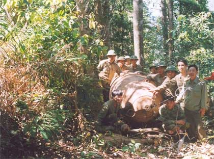 "Lọc đất" trừ... hiểm họa