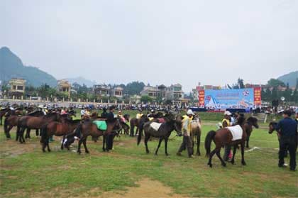 60 nài ngựa tham gia giải đua ngựa truyền thống Bắc Hà mở rộng năm 2011