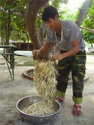 Ủ giá đỗ ở Trường Sa
