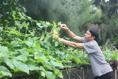 Đảo xanh Sơn Ca