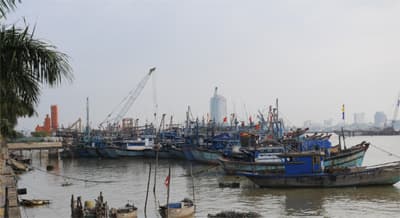 Ngư dân Đà Nẵng hân hoan đón ngày bầu cử