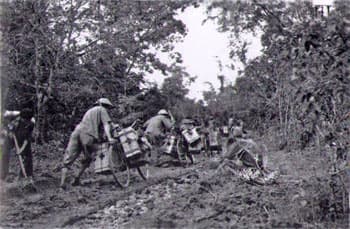 “Binh chủng” xe đạp thồ