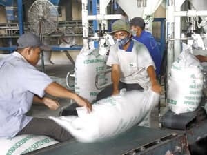 Chính sách lúa gạo Việt Nam được đề cao tại Thái Lan