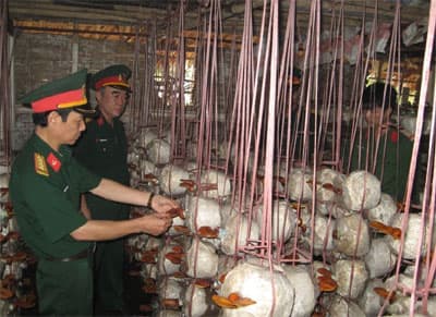 Thực tiễn kiểm nghiệm chất lượng đào tạo, nghiên cứu khoa học