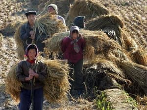 EU cứu trợ lương thực khẩn cấp cho Triều Tiên