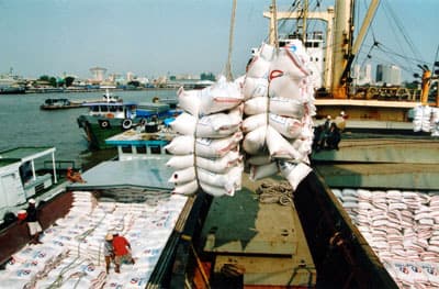 Xuất khẩu nông, lâm, thủy sản thắng lớn