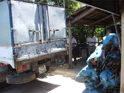 Nhiều vụ vận chuyển lâm sản trái phép bị phát hiện, bắt giữ