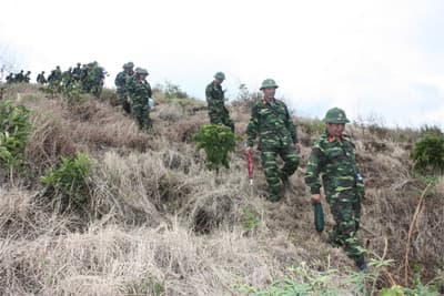 Những người đi trước về sau