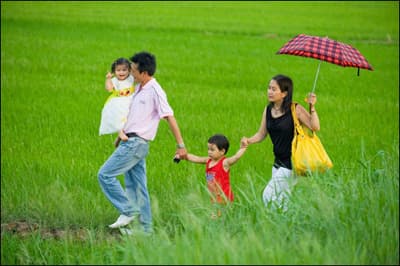 Quản lý dân số tại Việt Nam:  Mang tính định tính nhiều hơn định lượng
