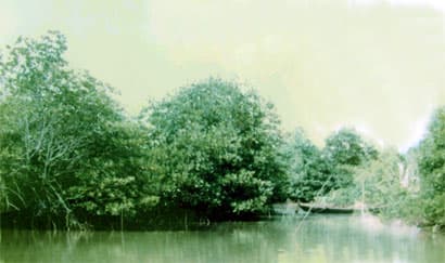 Mở bến Lộc An