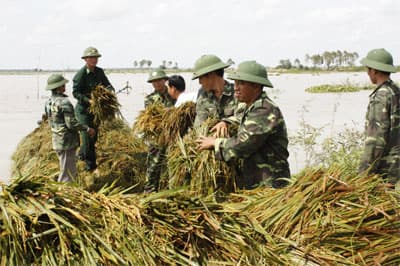 Giúp dân nơi đầu nguồn lũ lớn