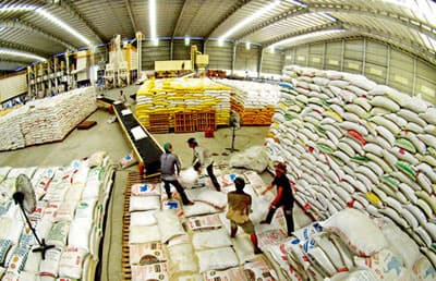 Nhà buôn gạo” phải chung lưng với nhà nông