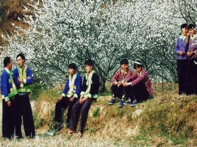 Xuân về trên bản tôi