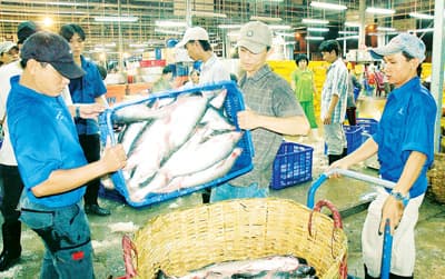 Sôi động chợ Tết
