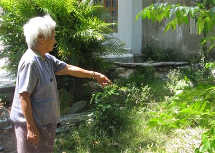 Vợ và mẹ liệt sĩ bị con gái ruột chiếm nhà, lấy đất và…kiện ra tòa