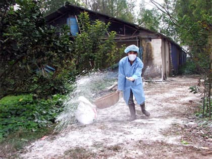 Cấp bách ngăn chặn, không để dịch lan rộng