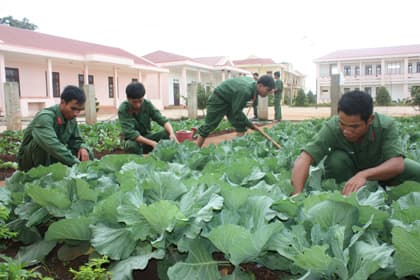 Xuân trên biên ải Tuy Đức