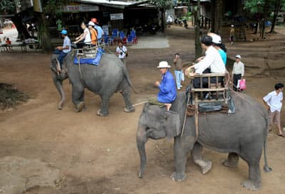 Lên Buôn Đôn cưỡi Voi