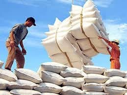 Nâng sản lượng gạo xuất khẩu trên 500.000 tấn