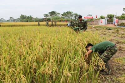 Một ngày của "chiến sĩ nhà nông"