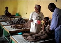 Nigeria: Bùng phát dịch tả, 1500 người chết