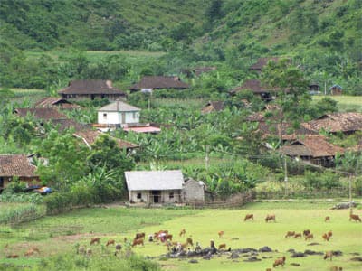 Ký ức mùa thu