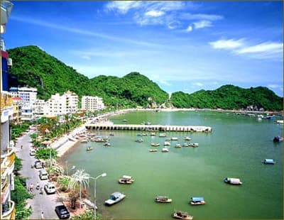 “Những chuyến bay xanh” tại Việt Nam