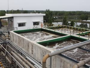 Vedan cam kết sớm chuyển tiền bồi thường đợt hai