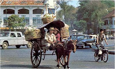 Bâng khuâng xe thổ mộ