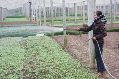 “Bắt” đất canh tác tăng lợi nhuận