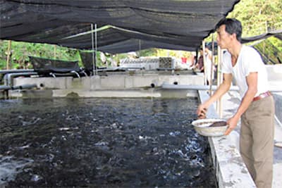 Để thương hiệu “cá hồi biên phòng” vươn xa