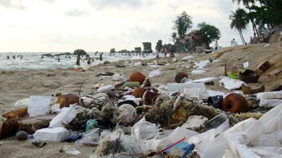 Tiếc cho biển Việt Nam