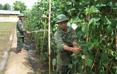 Vượt khó để “Nuôi quân giỏi, quản lý tài chính tốt”