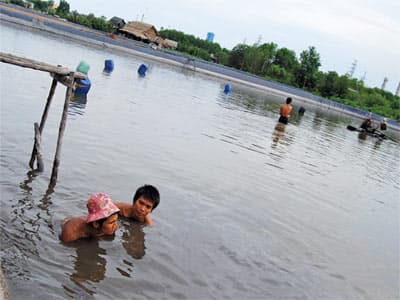 Vedan không muốn ra toà vì tốn nhiều thời gian!