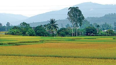 Nhớ làng
