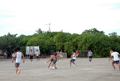 Ngọn lửa đam mê giữa trùng dương